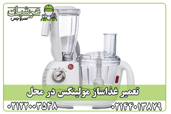 تعمیر غذاساز مولینکس